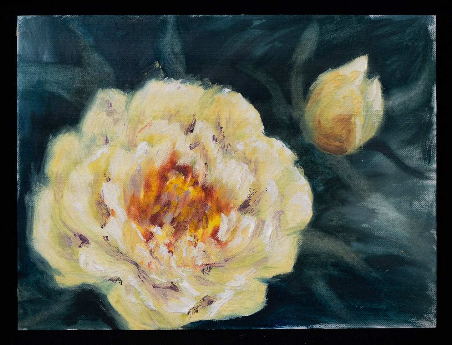 Sunlight peony